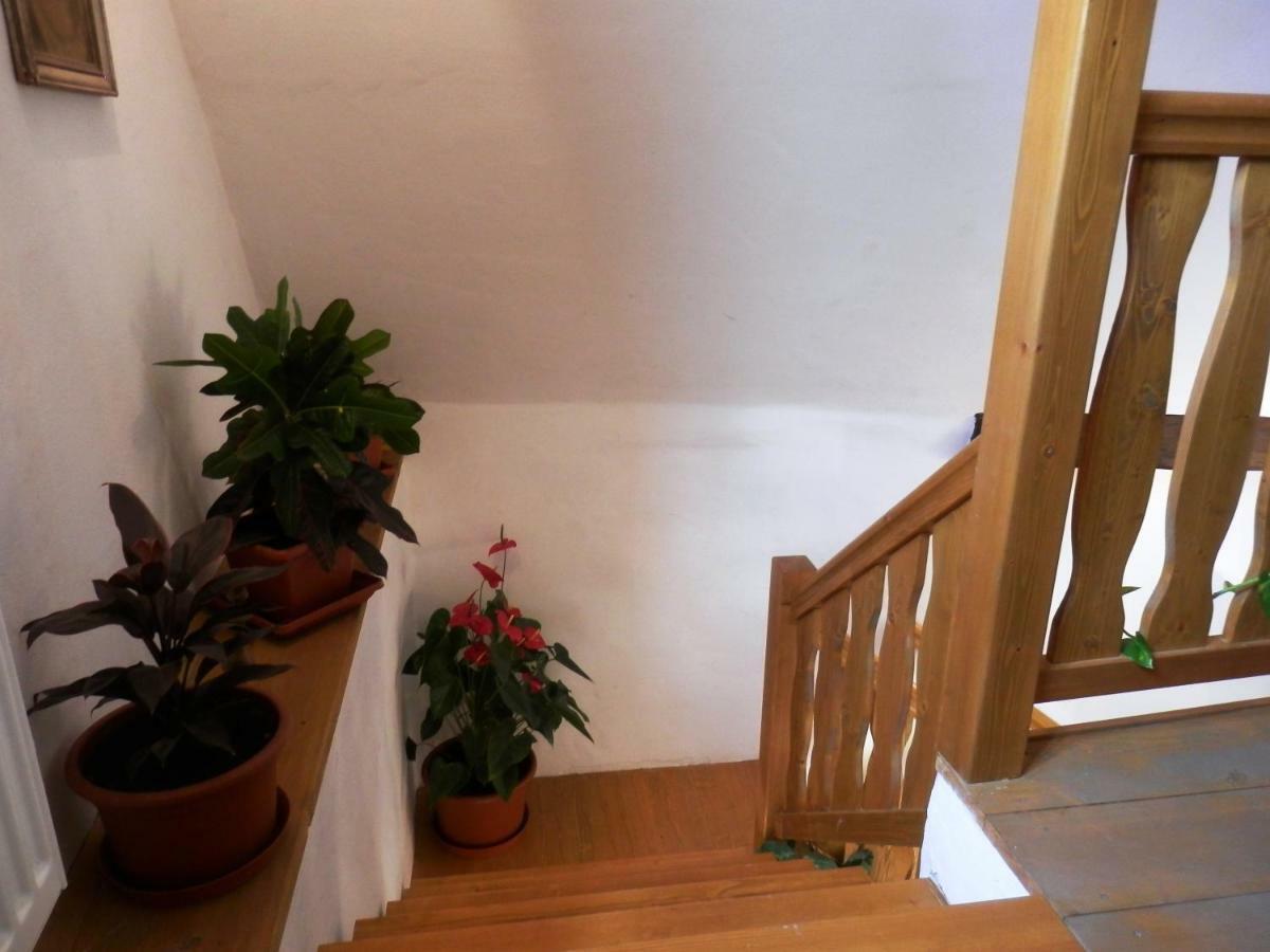 Apartmany U Sv. Floriana Slavonice Buitenkant foto